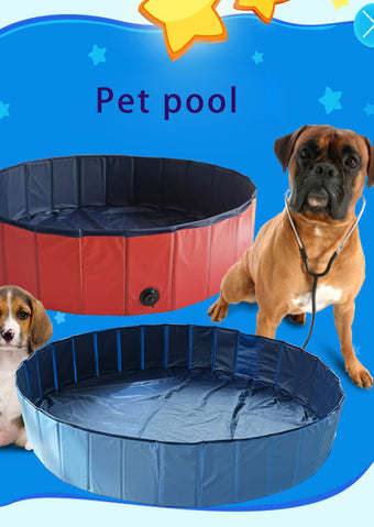Pet Bowls, water bottles, collars and leashes