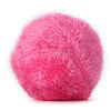 Magic Roller Ball Toy Dog Cat Pet Toy - Bradys Pets