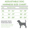 Sweet Treats Dog Harness & Leash Set - Bradys Pets