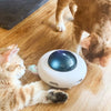 Cat Teaser Toys - Bradys Pets