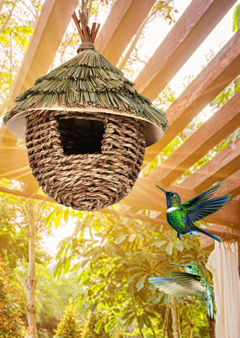 Bird Products