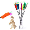 Pet cat Interactive toy Cute Design Bell and bird - Bradys Pets