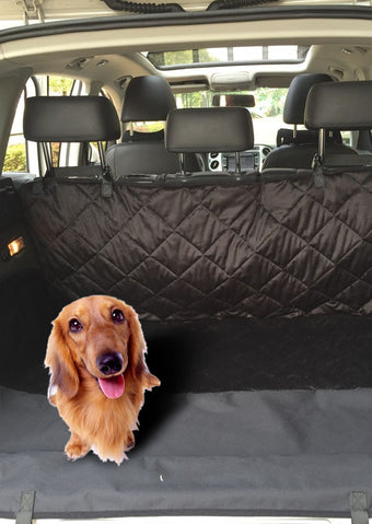 Pet Bags/ Pet Carriers